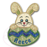 Bunny Boy w Easter Egg Applique Design